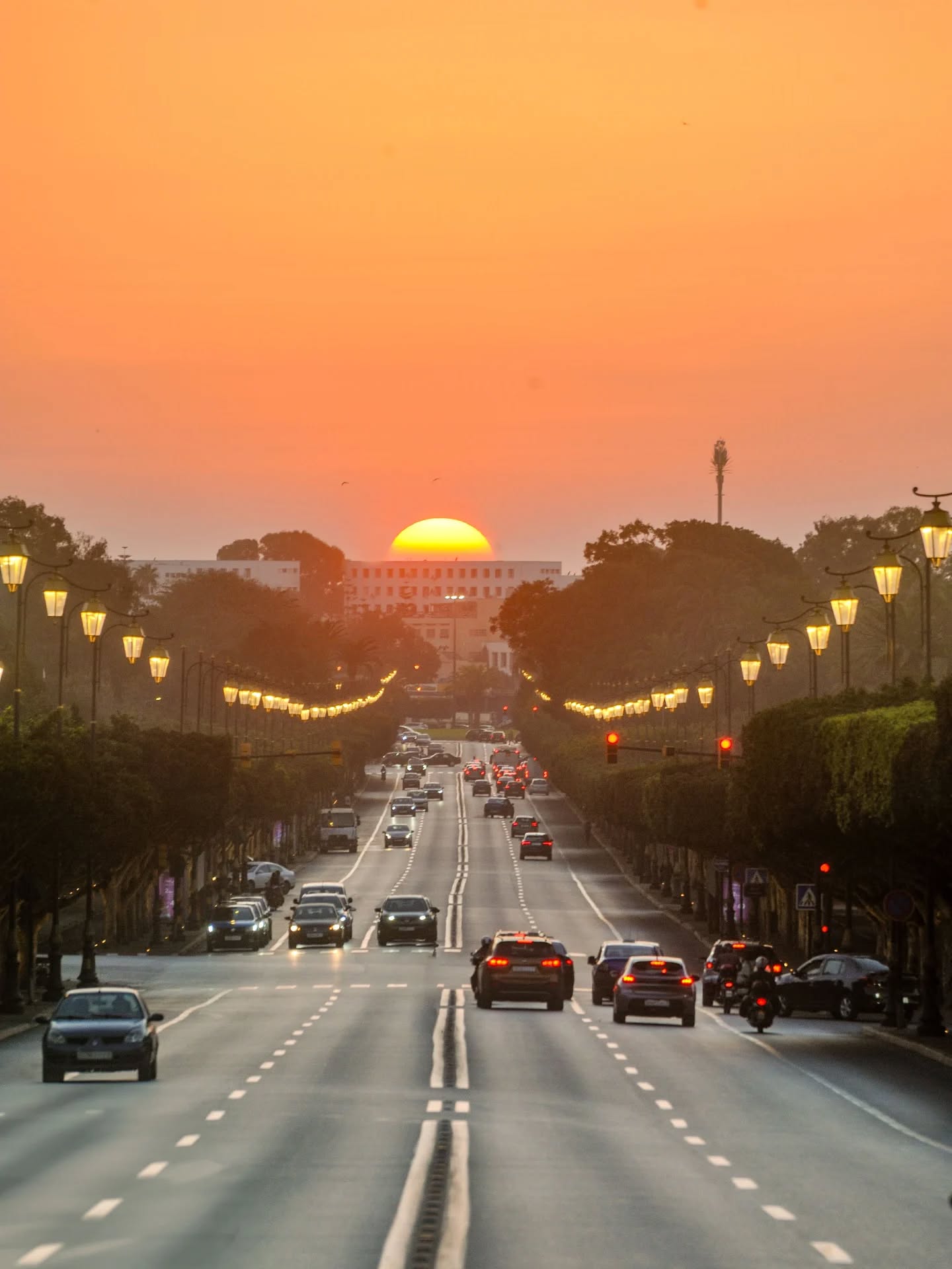 Boulvard nassr sunset